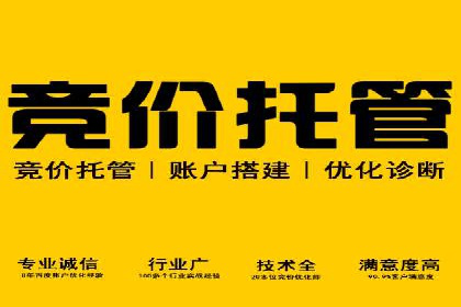 信息流广告的精准定位与效果优化案例分析